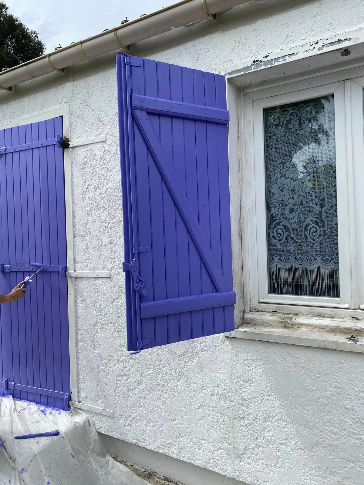 Volets en bois fraîchement repeints en bleu lavande, un rouleau à la main, sur une façade blanche.